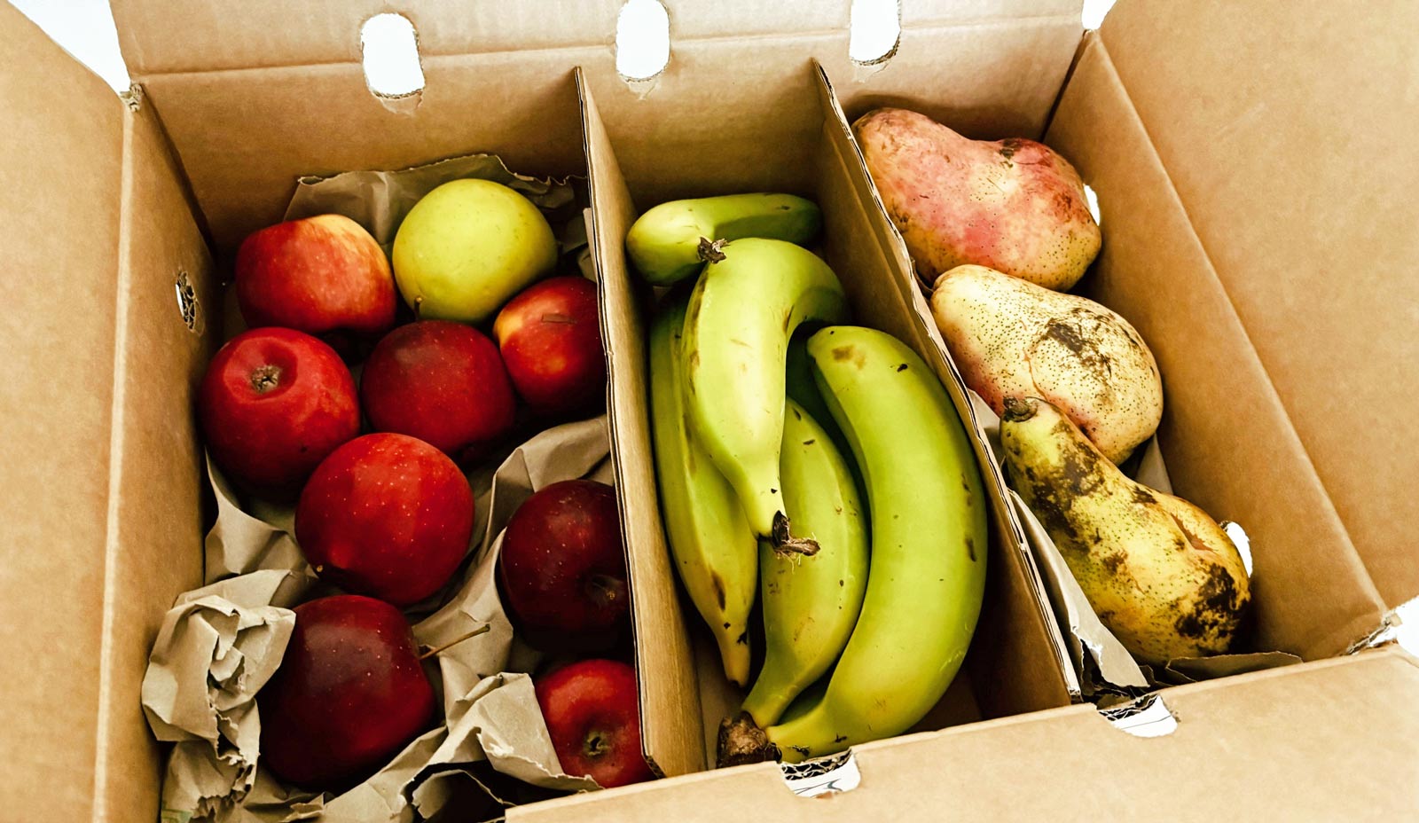 Geöffneter Karton mit verschiedenen Obstsorten (Bananen, Äpfel, Birnen)