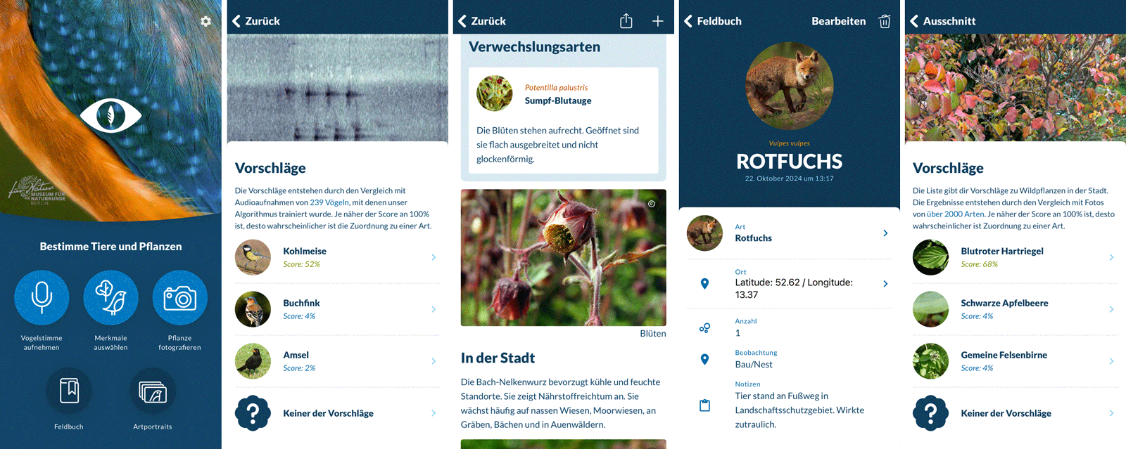 Verschiedene Screenshots der App Naturblick